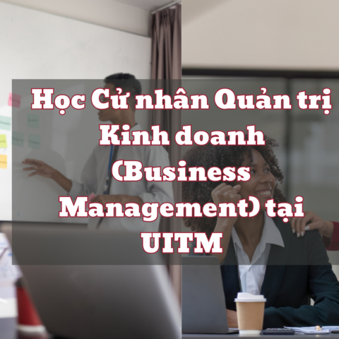 Học Cử nhân Quản trị Kinh doanh (Business Management) tại UITM